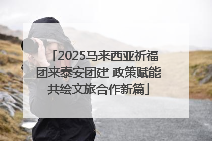 2025马来西亚祈福团来泰安团建 政策赋能共绘文旅合作新篇