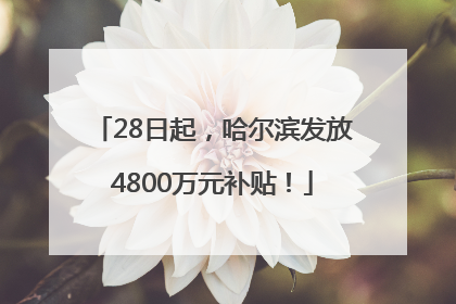 28日起，哈尔滨发放4800万元补贴！