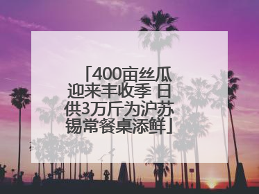 400亩丝瓜迎来丰收季 日供3万斤为沪苏锡常餐桌添鲜