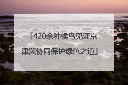 420余种候鸟见证京津冀协同保护绿色之道