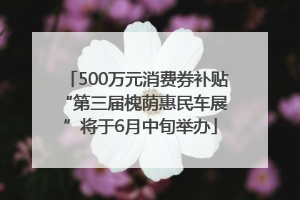 500万元消费券补贴 “第三届槐荫惠民车展”将于6月中旬举办