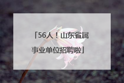 56人！山东省属事业单位招聘啦