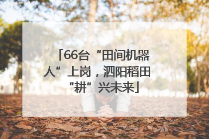 66台“田间机器人”上岗，泗阳稻田“耕”兴未来