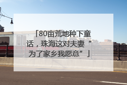 80亩荒地种下童话，珠海这对夫妻“为了家乡我愿意”