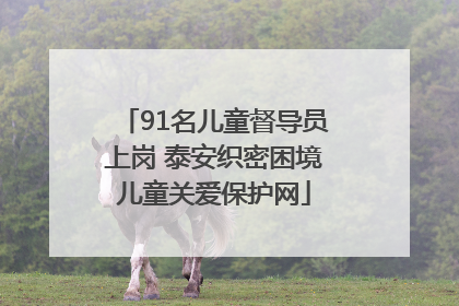 91名儿童督导员上岗 泰安织密困境儿童关爱保护网