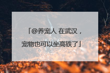 @养宠人 在武汉，宠物也可以坐高铁了