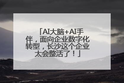 AI大脑+AI手伴，面向企业数字化转型，长沙这个企业太会整活了！