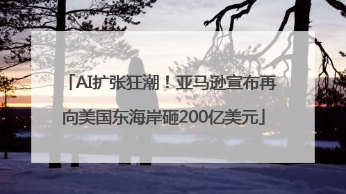 AI扩张狂潮！亚马逊宣布再向美国东海岸砸200亿美元