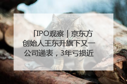 IPO观察｜京东方创始人王东升旗下又一公司递表，3年亏损近50亿元，近8成收入来自同一客户