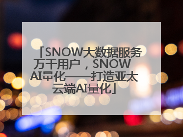 SNOW大数据服务万千用户，SNOW AI量化——打造亚太云端AI量化