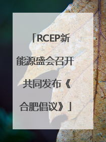 RCEP新能源盛会召开 共同发布《合肥倡议》