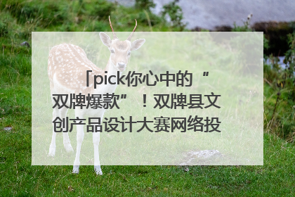 pick你心中的“双牌爆款”！双牌县文创产品设计大赛网络投票评选火热进行中